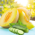 Cumber Melon